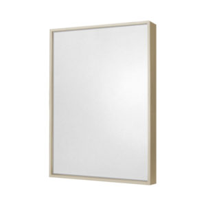 E-Z Sign Plastic Wall Frames